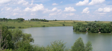 Обложка: Пронское водохранилище