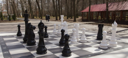 Обложка: Скульптурная композиция «Большие шахматы»