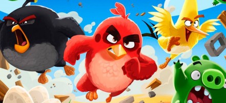 Обложка: Angry Birds
