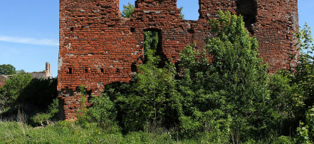 Обложка: Руины замка Бранденбург