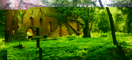 Обложка: Руины замка Бальга