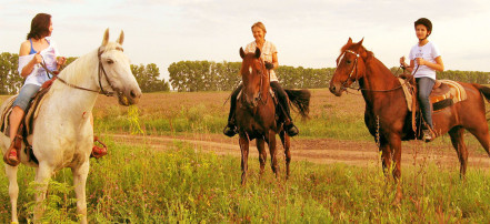 Обложка: Конные прогулки для начинающих и опытных всадников в Красноярске