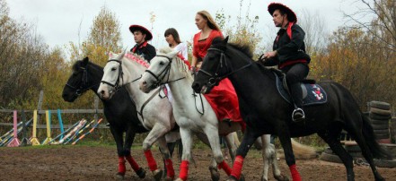 Обложка: Аренда лошади на мероприятие в Перми