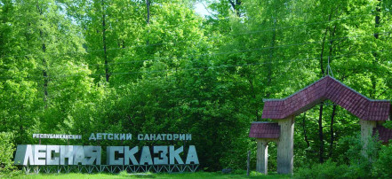 Обложка: Детский санаторий «Лесная сказка»