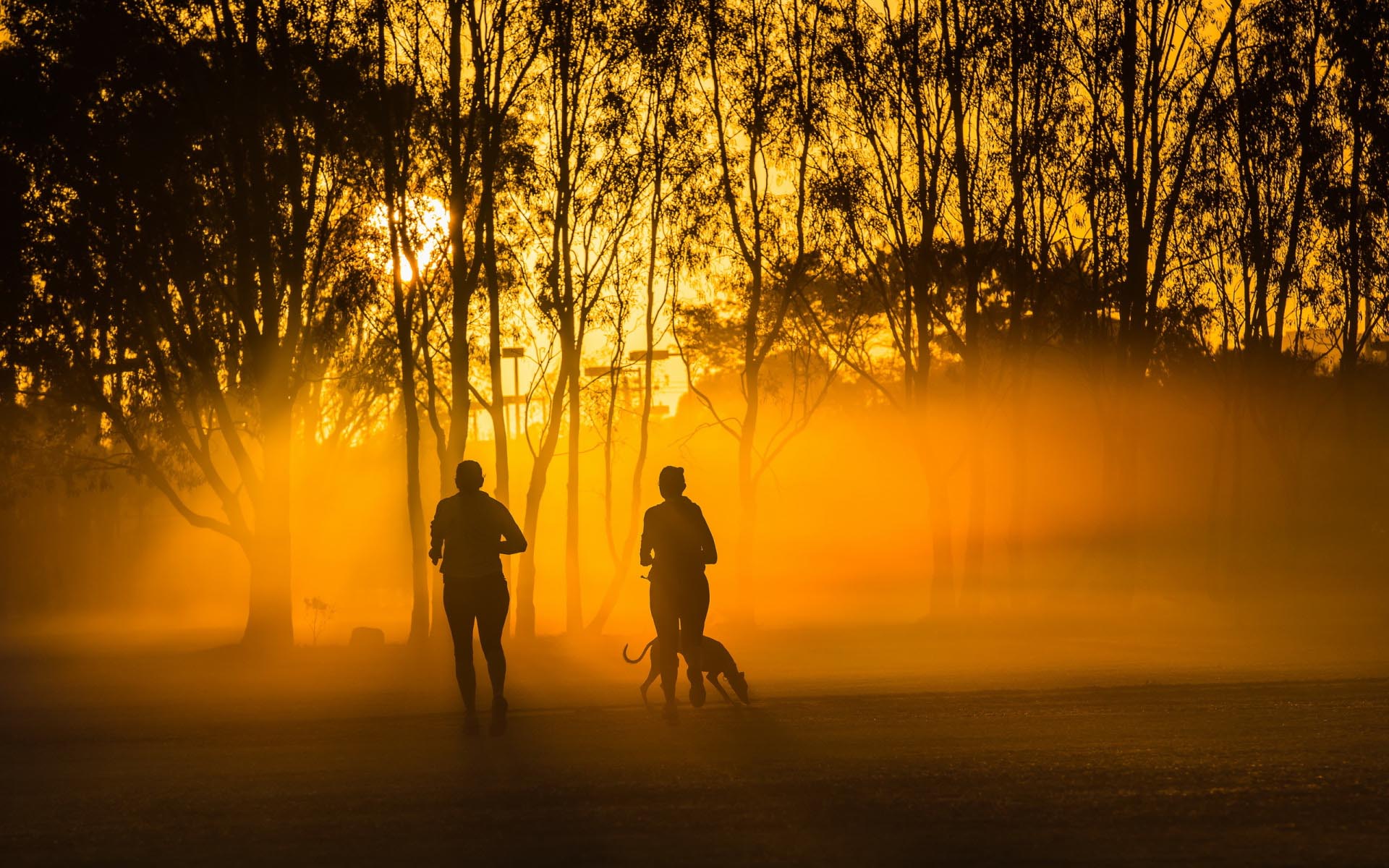 Пробежка в парке на закате с собакой