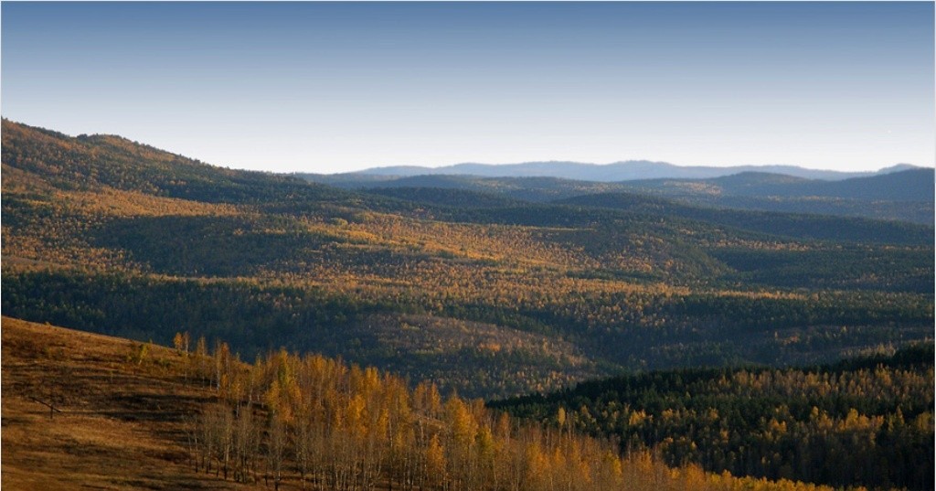 Гора Палласа Забайкалье