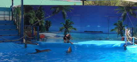 Дельфинарий в Кабардинке: Фото 1