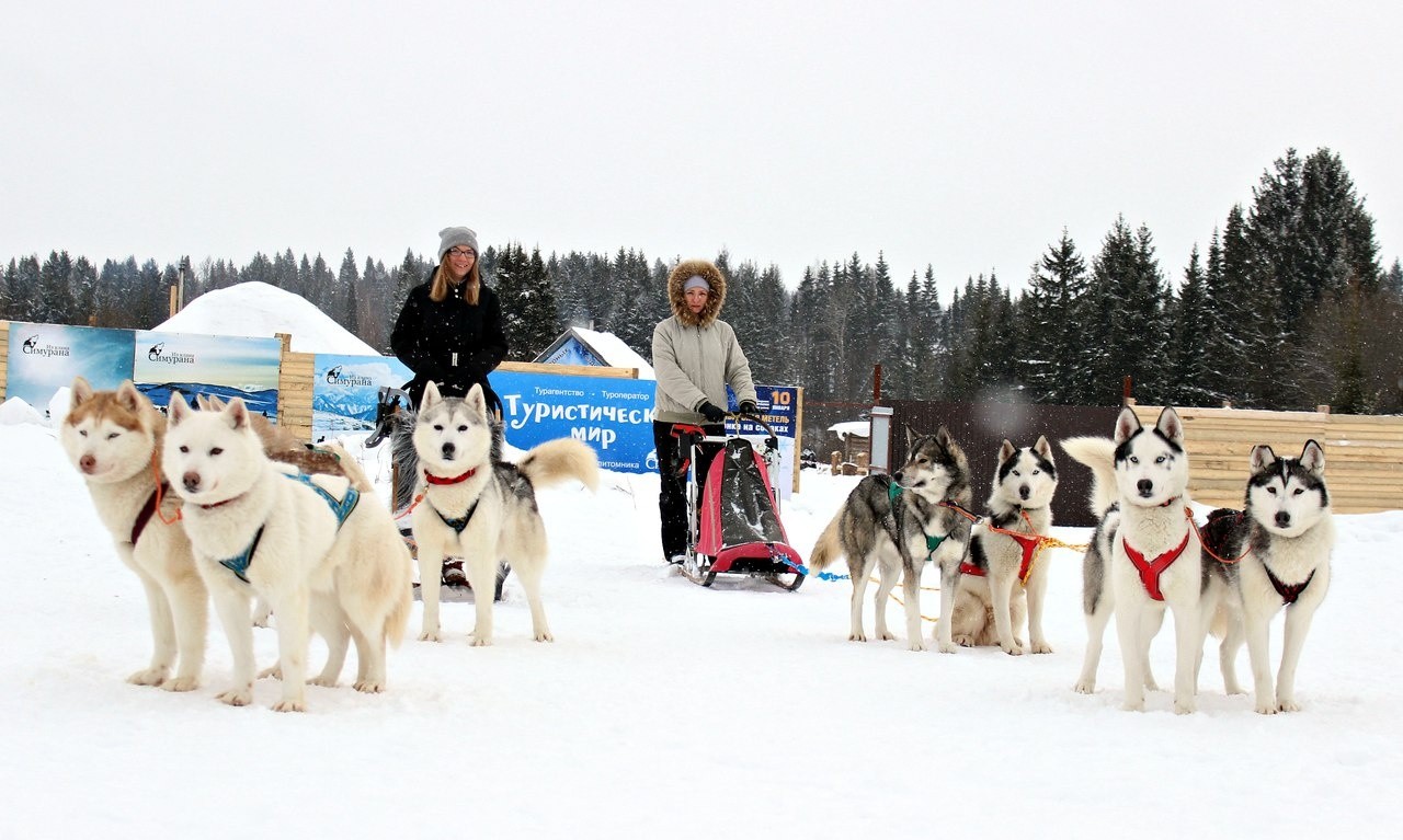 Питомник сел