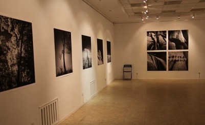 Галерея современного искусства «Арка»