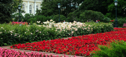 Александровский сад: Фото 1