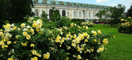 Александровский сад: Фото 3