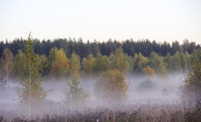 Болото Брюханов–Перегорбино