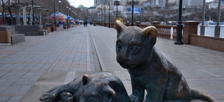Владыка Владивостока: Фото 2