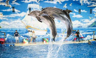 Дельфинарий «Атлантида»
