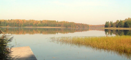 «Рыбное место» на озере Охотничье: Фото 1