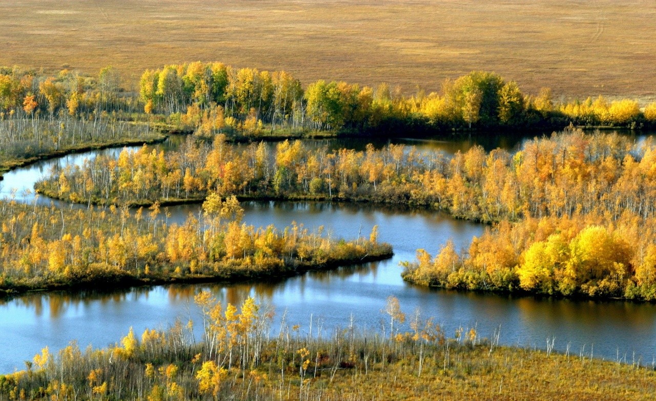 Васюганские болота томская