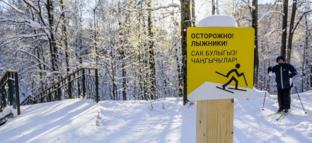 Горкинско-Ометьевский лес: Фото 3
