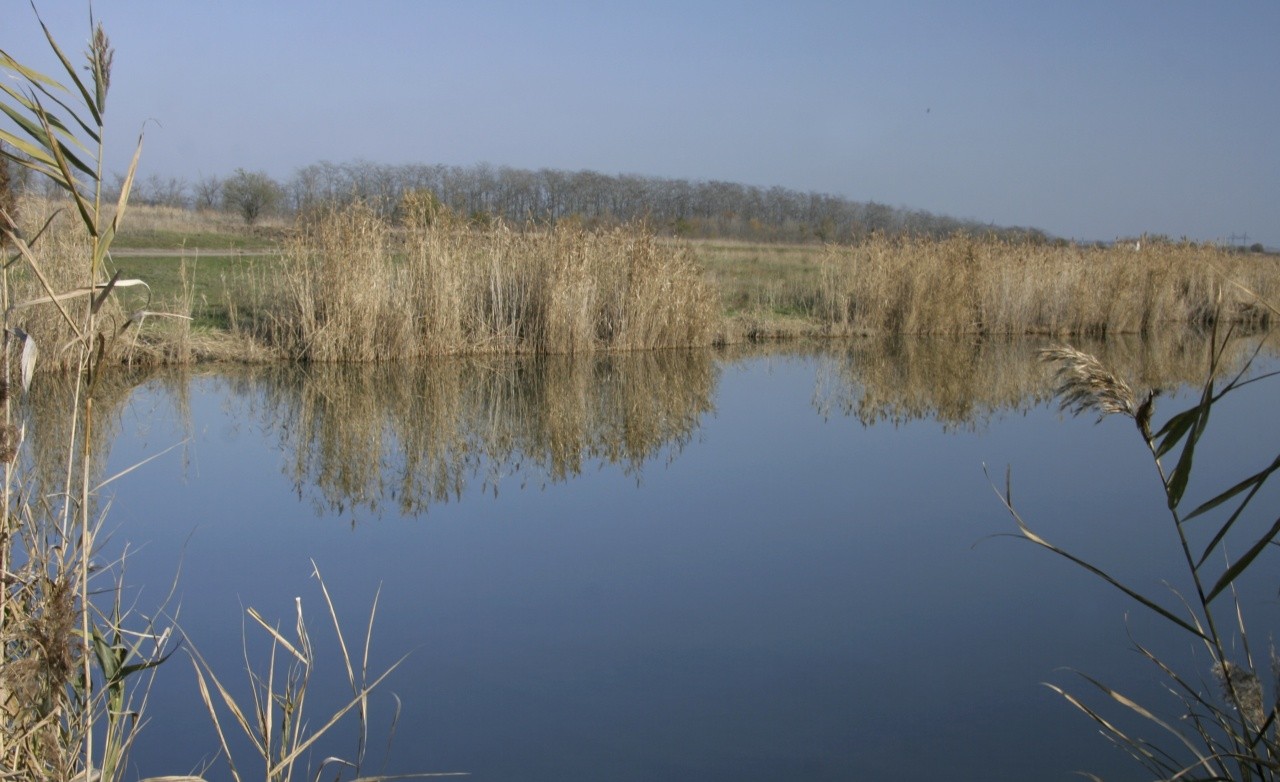 Купить Участок В Минеральных Водах