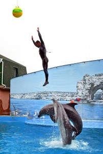 Дельфинарий «Немо» в Большом Атлеше