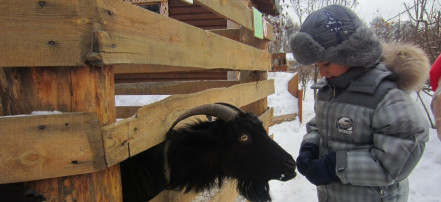 Иркутский детский контактный зоопарк: Фото 1