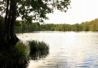 Кауровские озера