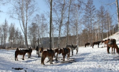 Конные прогулки в селе Бургень