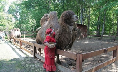 Контактный зоопарк в Шадырицах «Приют Белоснежки»