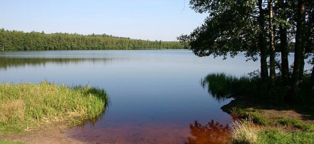 Ласковское озеро: Фото 2