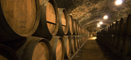 Музей истории виноградарства и виноделия завода шампанских вин «Новый Свет»: Фото 1