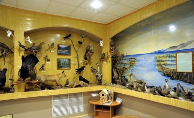 Музей природы Байкальского заповедника