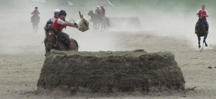 Национальная игра тюркских народов "Кок-бору": Фото 2