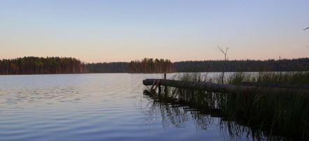 Озеро Воробьево: Фото 1