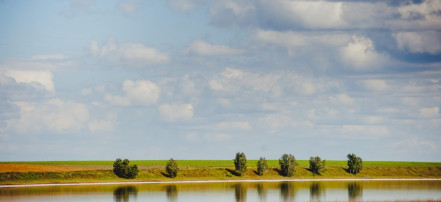 Озеро Лечебное: Фото 8