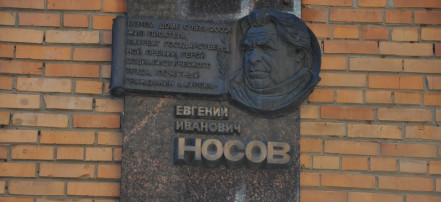 Памятник Е.И. Носову: Фото 2