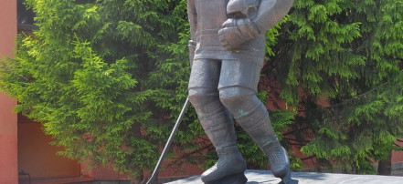 Памятник хоккеисту Ю.И. Моисееву: Фото 3