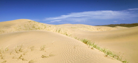 Пески Цугээр-Элс: Фото 1