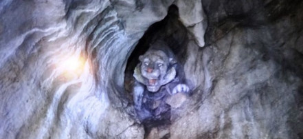 Пещера «Спящий дракон»: Фото 3