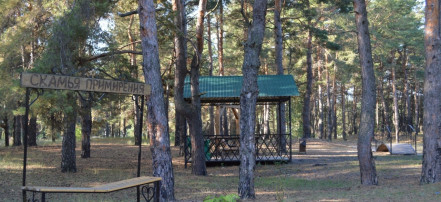 Пикник-парк «Сосновый край»: Фото 10