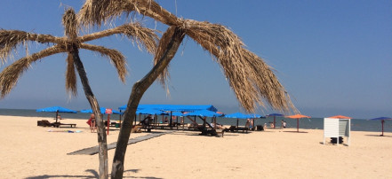 Пляж-кемпинг «Оазис»: Фото 3
