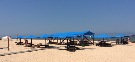 Пляж-кемпинг «Оазис»: Фото 4