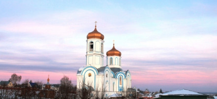 Покровский Александро-Невский женский монастырь: Фото 1