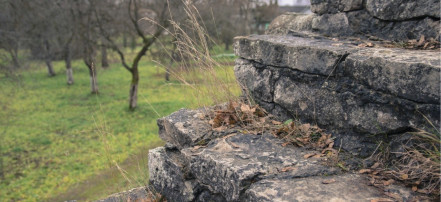 Порховская крепость: Фото 2