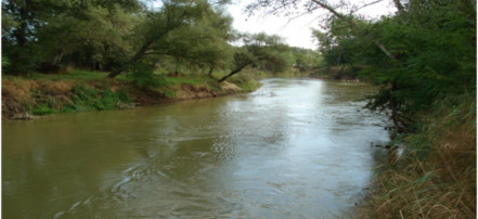Река Кума: Фото 5