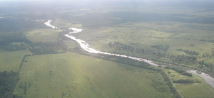 Река Шелонь: Фото 2