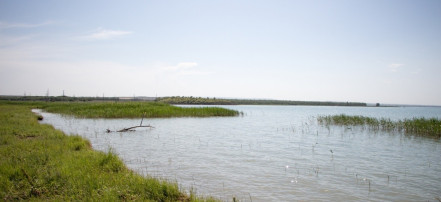 Сенгилеевское озеро (Сенгилеевское водохранилище): Фото 8