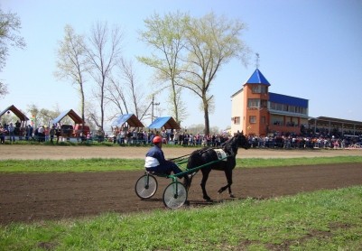 Чесменский конный завод