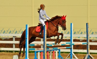 Детско-юношеская спортивная школа по конному спорту