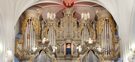 Дневной органный концерт в Кафедральном соборе
