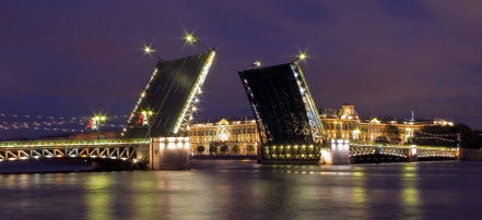 Ночная прогулка на теплоходе по Неве «Мосты повисли над Невой»: Фото 5