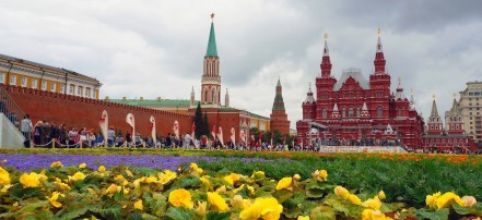 Пешеходная экскурсия по Красной площади и Александровскому саду